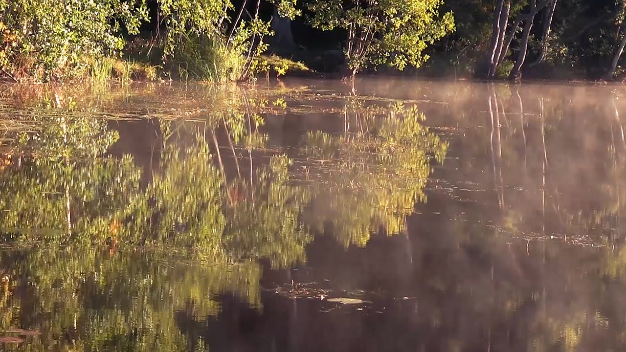 Tunturissa - Tapani Suonto