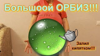 Большооой ОРБИЗ!!! Залил кипятком))))