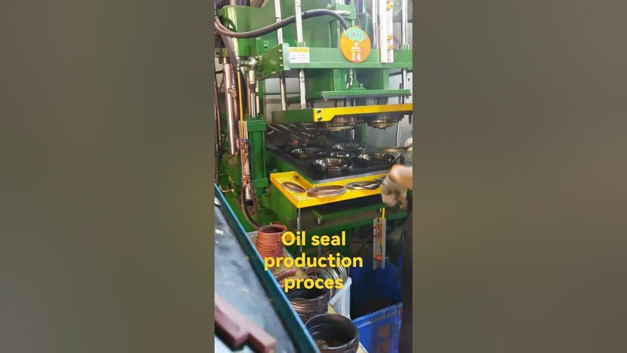 Oil seal production process YouTube