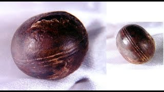 The Untold History Of The World Artifacts From Millions Of Years Ago