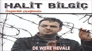 HALİT BİLGİÇ - DE WERE HEVALE Resimi