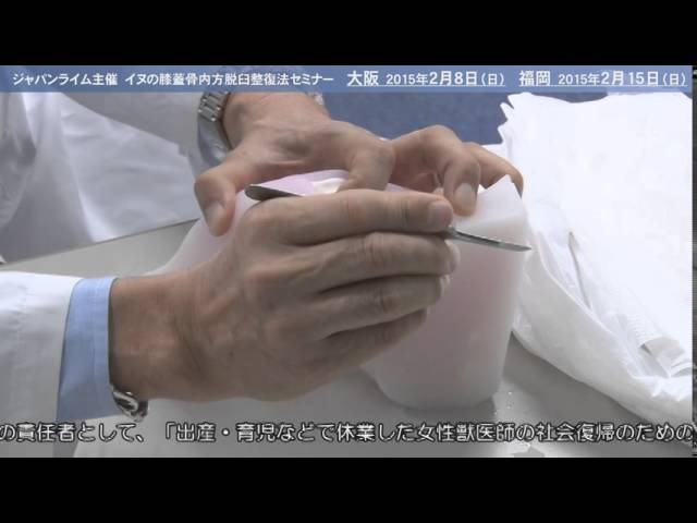 犬の膝蓋骨内方脱臼整復法とバンテージ　ジュパンライム　獣医　動物病院 松田教授の獣医師向けセミナー】膝蓋骨内方脱臼整復法 - YouTube