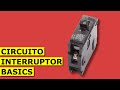 Circuito Interruptor Basics