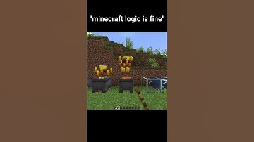 Minecraft logic is fine!