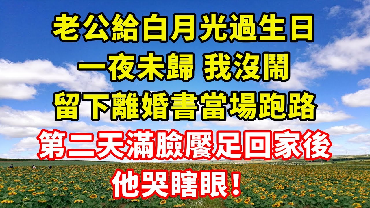 【完結】老公給白月光過生日，一夜未歸 我沒鬧，留下離婚書當場跑路，第二天滿臉饜足回家後，他哭瞎眼！｜伊人故事屋