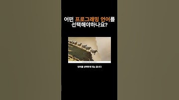 초보에게 추천하는 프로그래밍 언어 Top6!