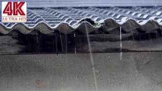 [4K] Memleketim ASMRnin çatısına düşen yağmur sesi. Şemsiye altında yağmur sesi. saçak. düşen su.