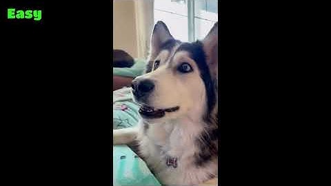 Don't Smile While Watching This Video 🔥 (IMPOSSIBLE!)