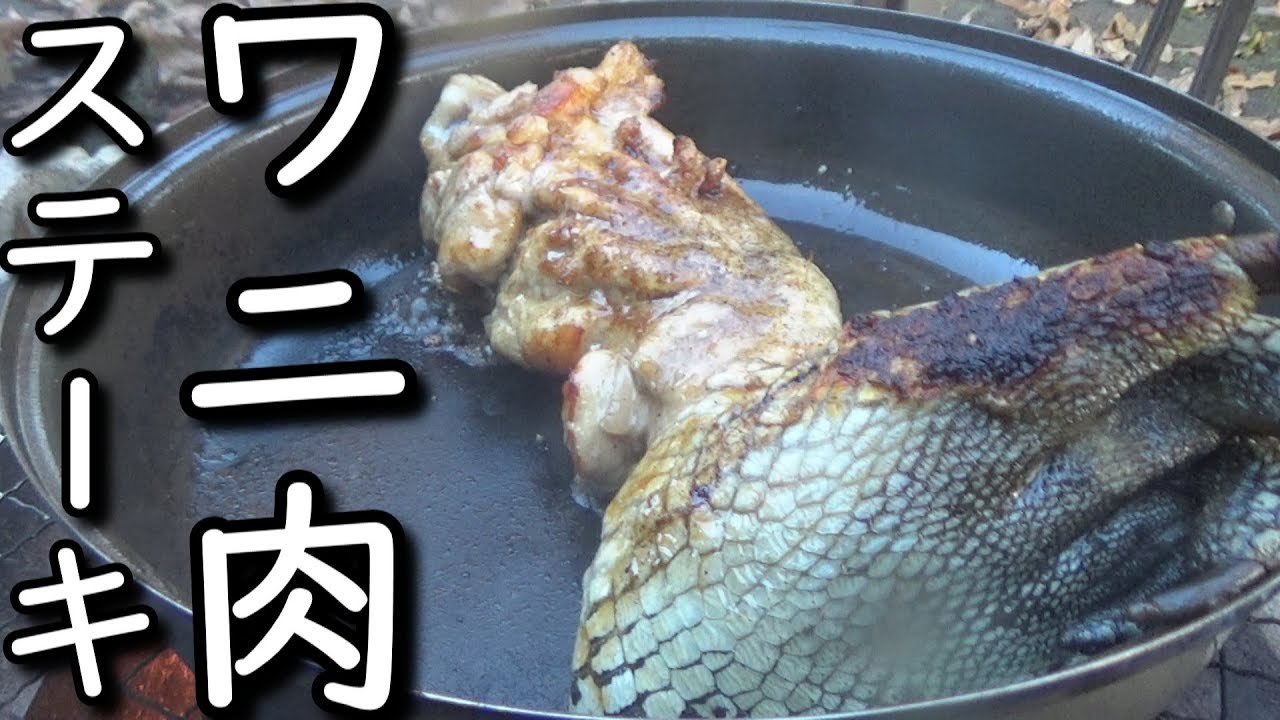 閲覧注意 噛まれたら致命傷なワニ肉を焚き火で焼いて食う Dangerous