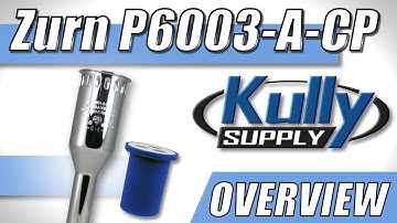 Zurn Vacuum Breaker 3/4" x 8-1/2" (P6003-A-CP) - KullySupply.com