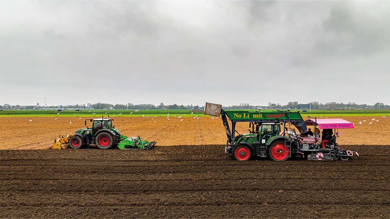 Bollenplanten 2024 | No Limit BV