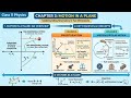 Multiplication of vectors, dot product, cross product || Class-11th || Ch-3 ||