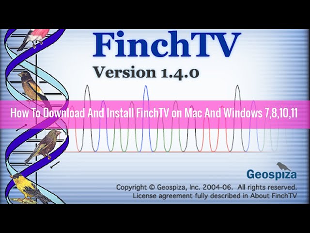 How To Download And Install FinchTV on Mac And Windows 7,8,10,11 class=