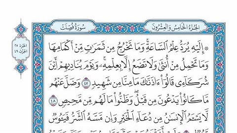 الربع الأول من الحزب ٤٩ من القرآن الكريم - الشيخ ياسر سلامة حدر