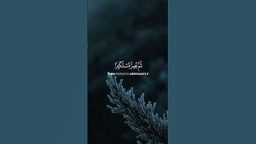 اللهم اجعل القرآن الكريم ربيع قلوبنا ونور صدورنا ✨️🤍