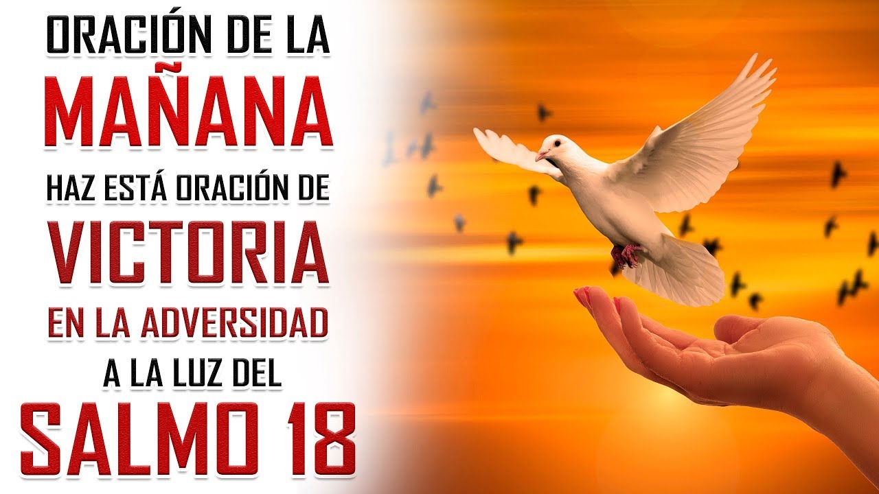 🔥PODEROSA ORACION DE LA MAÑANA 🙏 ORANDO A LA LUZ DEL SALMO 18 📖 ACCION ...
