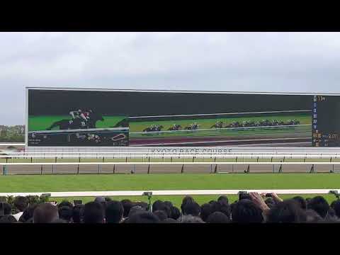 【天皇賞・春 2023 現地映像】天皇賞春実戦！！！！現地で観戦した4人の運命は！？！？！？