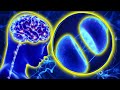 Attention: Extremely Powerful | Frequency 62 MHz Instant activation of the pineal gland