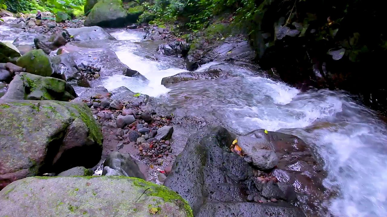 Deep Sleep River Ambience | Peaceful Water Sounds for Complete Relaxation