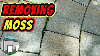 How to remove moss between patio stones.