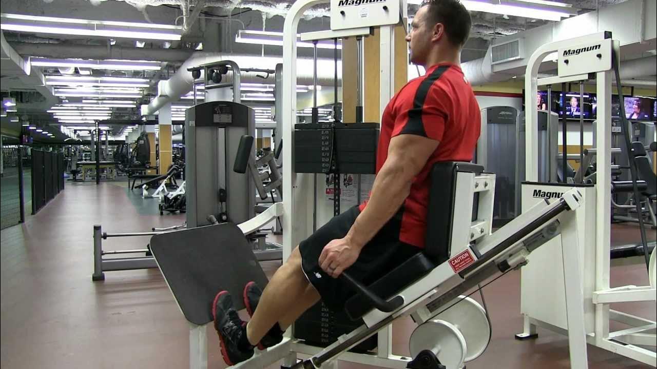 Calf raise Machine