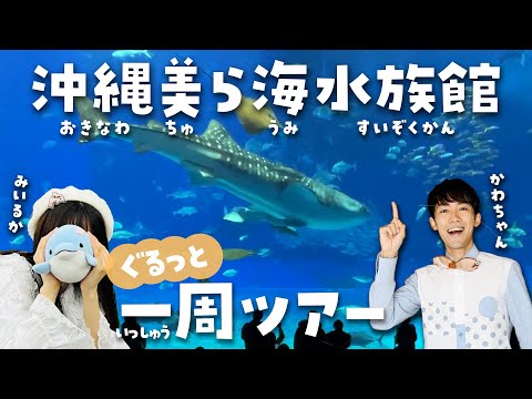 沖縄美ら海水族館
