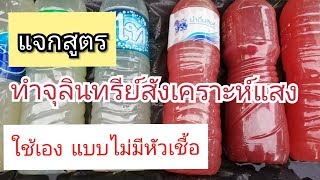 วิธีทำจุลินทรีย์สังเคราะห์แสงใช้เอง​ แบบไม่มีหัวเชื้อ​ ทำตามสูตรนี้แดงแน่นอน​