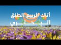 اكتشف تفاصيل الربيع المبهجةمن خلال أجمل القصائد أتأك الربيع الطلق البحتري