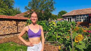 Everything We Built in One Year: Homesteading Journey