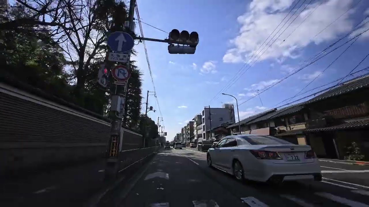 【今日の京都#19】2026年1月18日 四条河原町～京都水族館～東寺 キューワリ キューブ キューリン