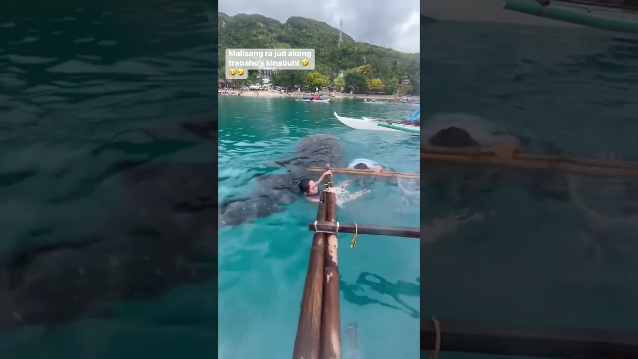 WHALE SHARK INTERACTION