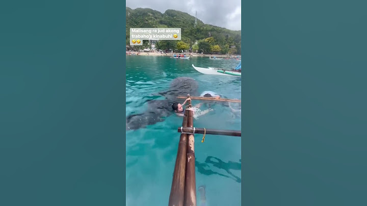 WHALE SHARK INTERACTION