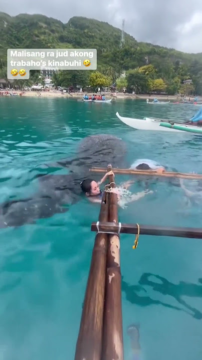 WHALE SHARK INTERACTION