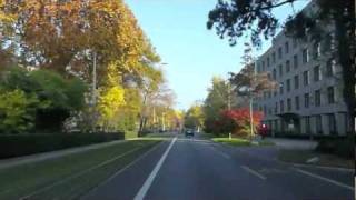 Public Transport Street View Liestal Lines 71