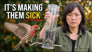 5 EASY Bird Feeder Tips for Anyone Just Getting Started