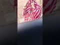 Pashto Video Koni Jenai Masta Koni Jenai Kachara Video Full Romanc Pashto Maste Jenakai Kpk 