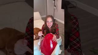 Have You Lost Your Mind The Ultimate Holiday Reaction! 🎄