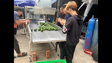 Máy rửa cam sành công nghiệp.  Máy rửa trái cây công nghiệp giá rẻ tại xưởng năng suất vượt trội