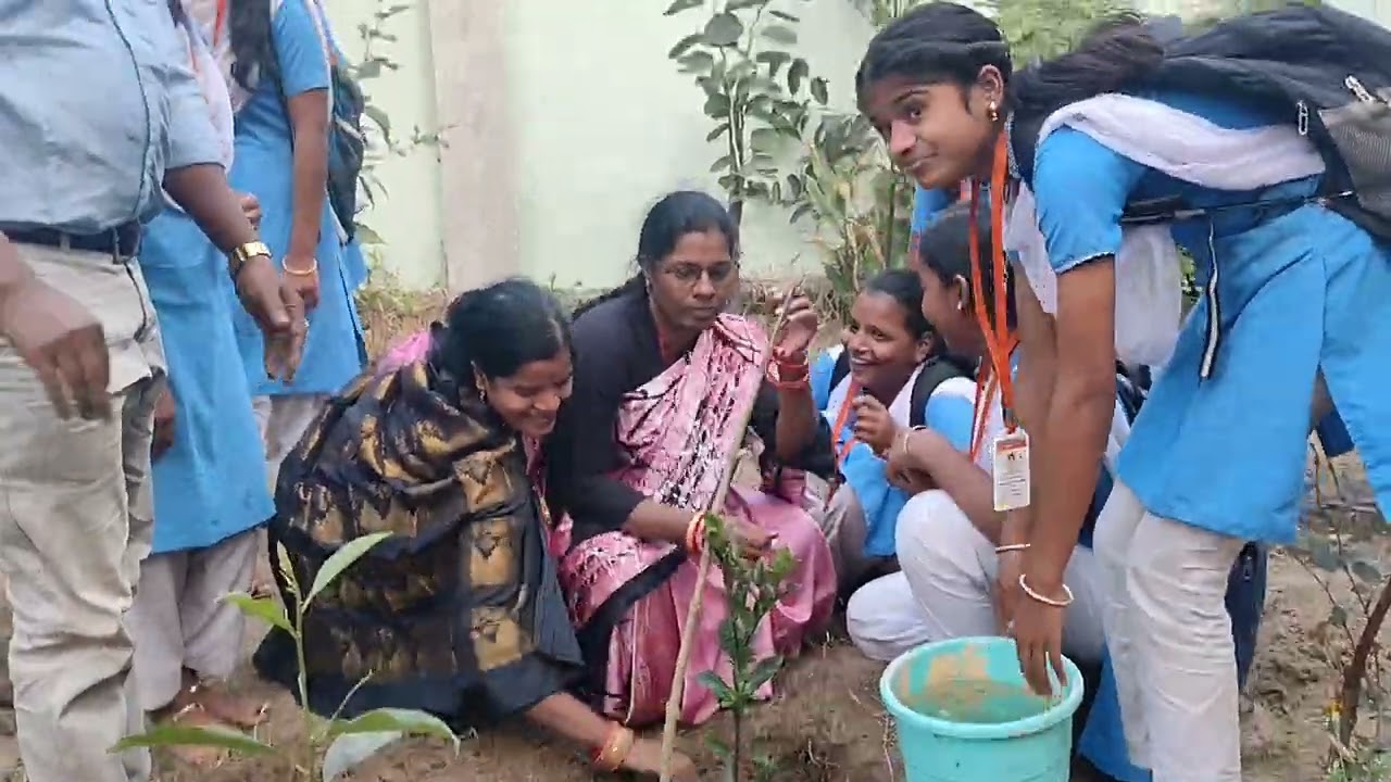 TREES ARE OUR BEST FRIENDS.