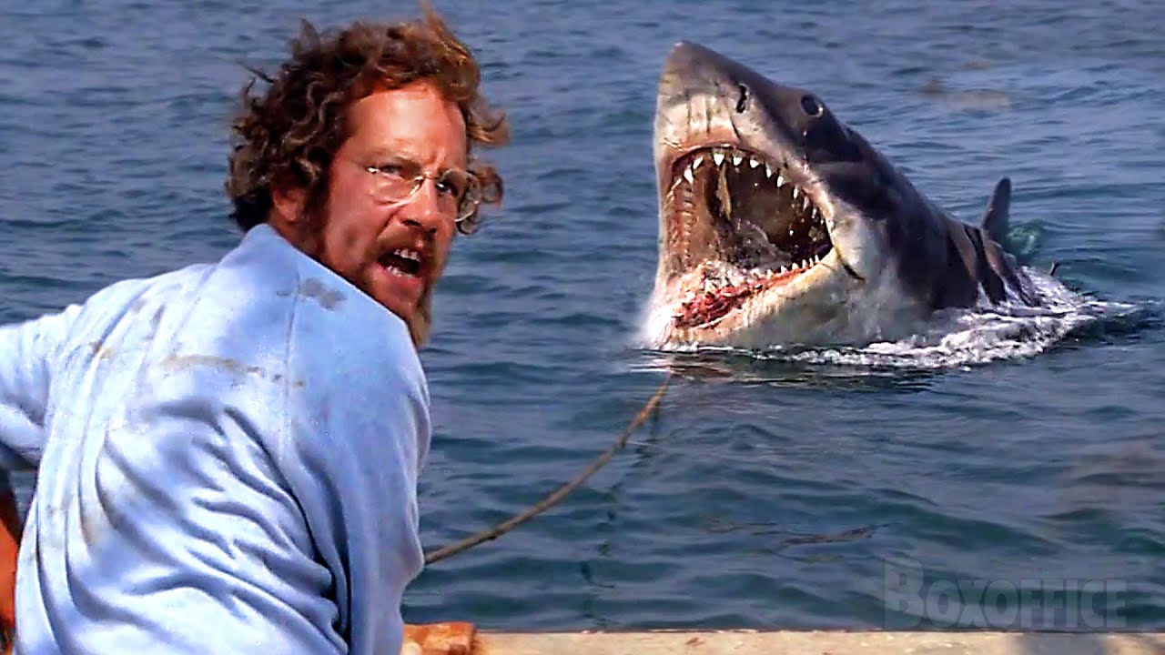 Ich glaube, er kommt zur Fütterung zurück | Der weiße Hai | German Deutsch Clip