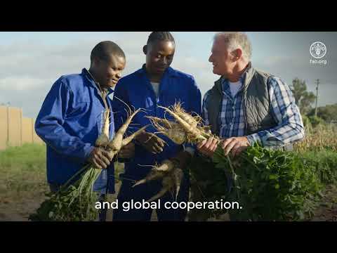 Plant health and One Health