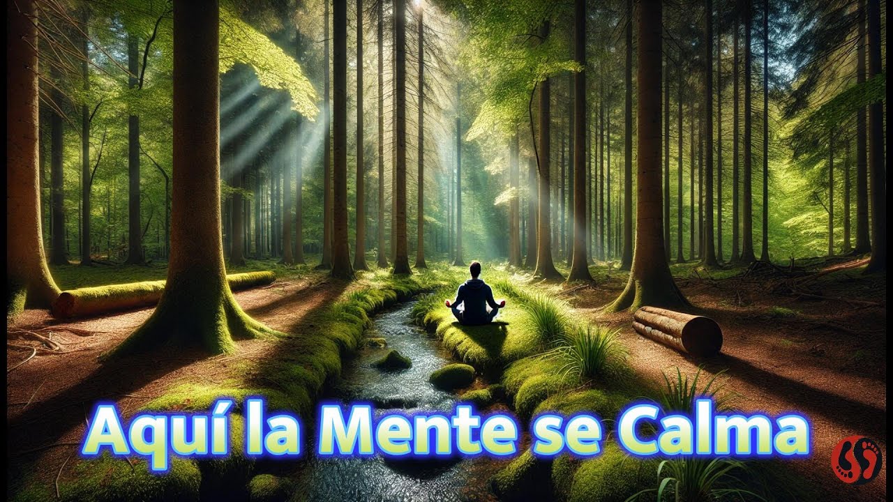 Medita en la Naturaleza: Sonidos del Bosque y Guía para Calmar Tu Mente ...