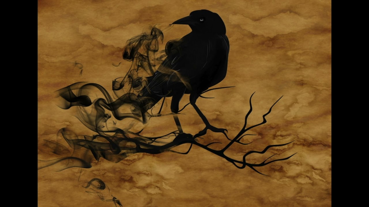 15 Minutes of Griselda Type Beats / Dark Boom Bap Freestyle Instrumentals Mix