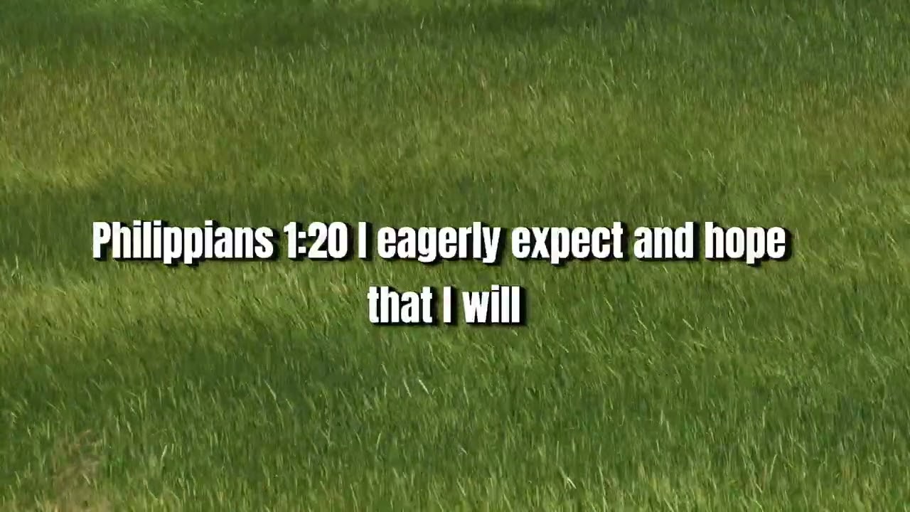 Want to Be More Bold for Christ? Read These 10 Bible Verses