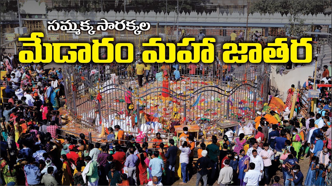 Medaram Jatara | Medaram Sammakka Sarakka Jatara | మేడారం సమ్మక్క సారక్క జాతర