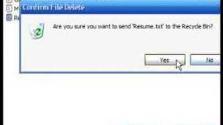 Learn Basic Computer Skills : Deleting Files in Microsoft Windows