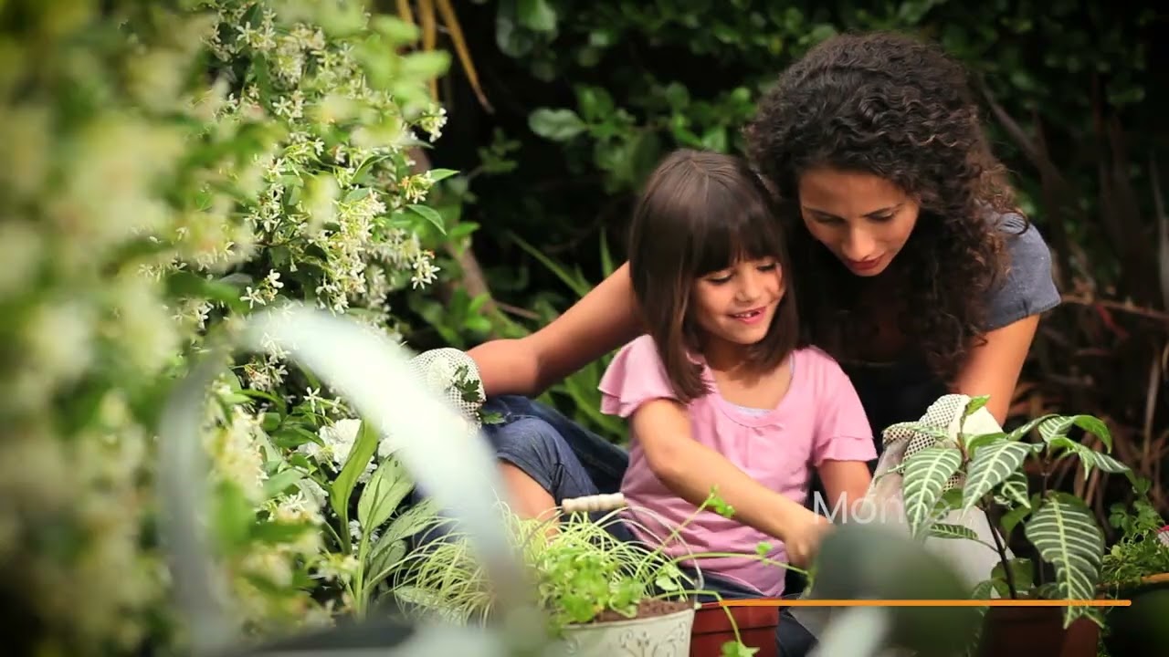 Apartamento no  VITÓRIA ACÁCIA 