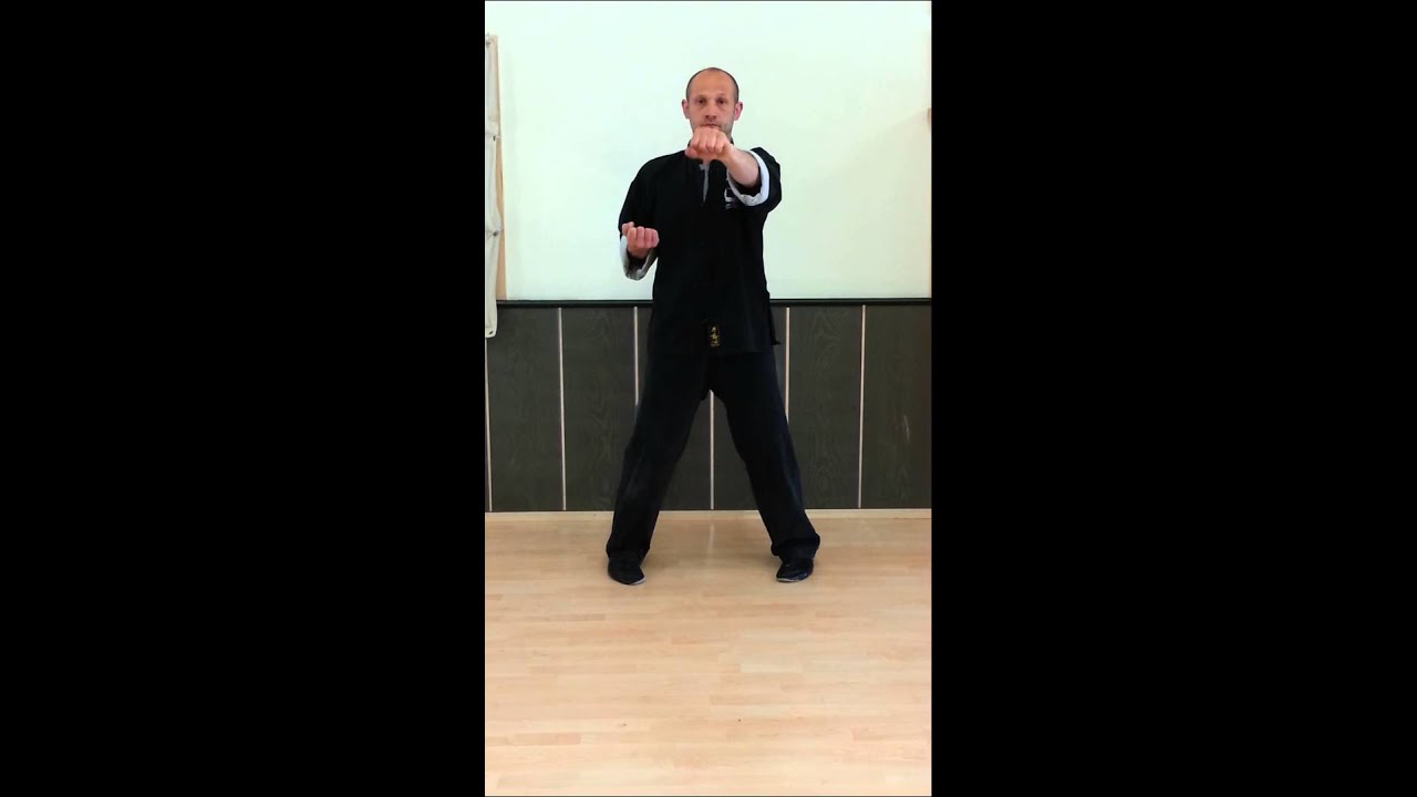 Ip Man Wing Chun - Siu Lim Tao