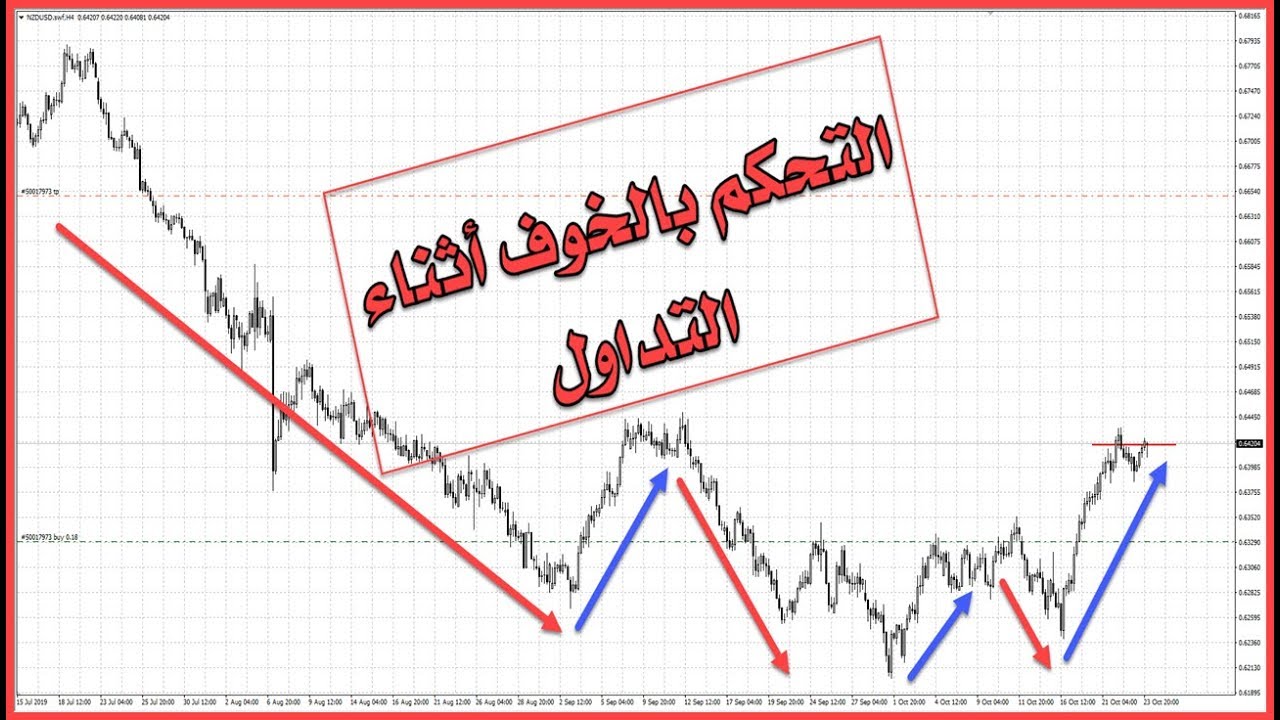 تمرين (صعب) للتغلب على عادة الخوف عند المتداولين