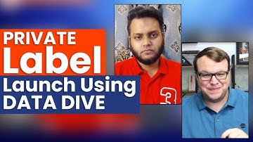 9 Figure Amazon Seller | Private Label Launch using Data Dive Tool